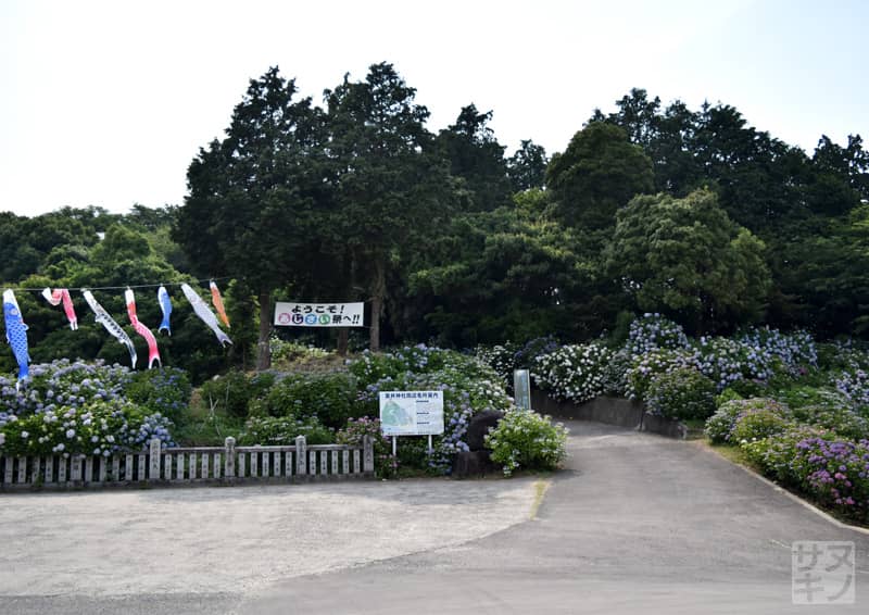 観音寺市 粟井神社の駐車場