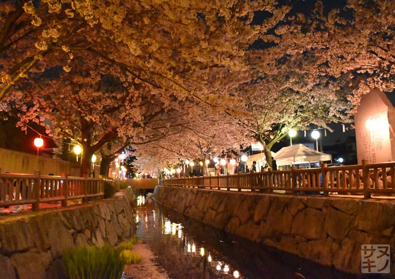 高松市 鹿の井出水(しかのいですい)の夜桜