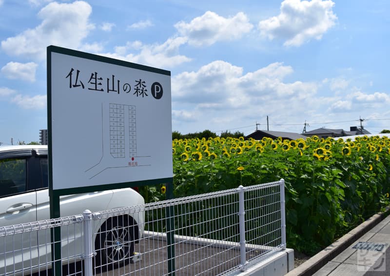 高松市 仏生山の森の駐車場