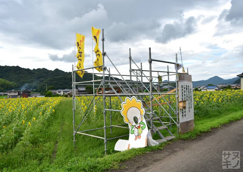 まんのう町帆山のひまわり団地