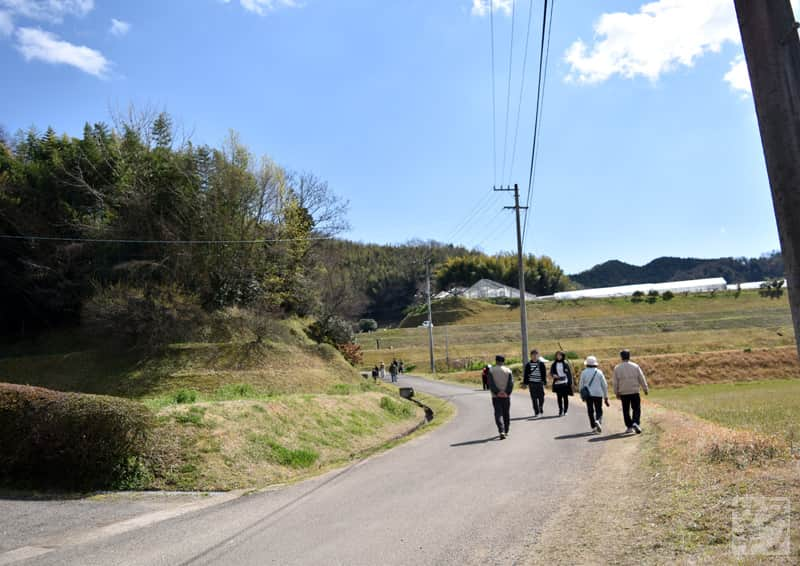 綾川町西分 堀池のしだれ桜