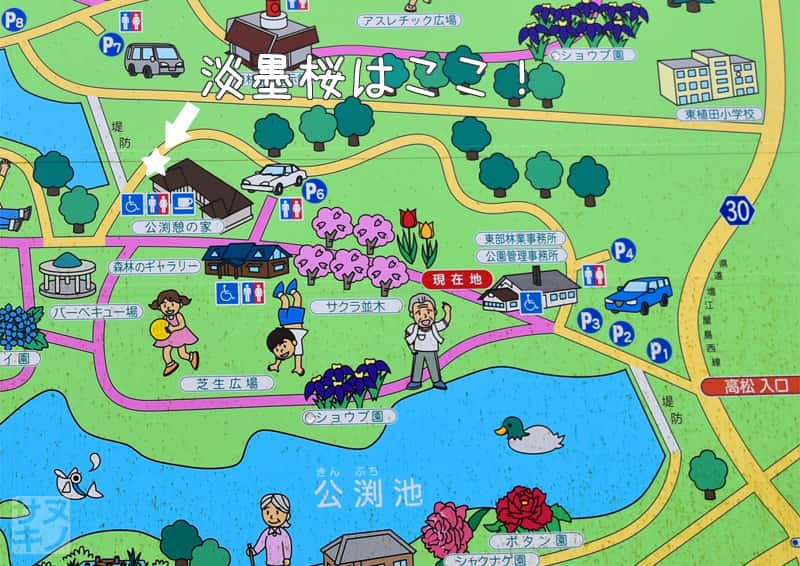 高松市 公渕森林公園案内板