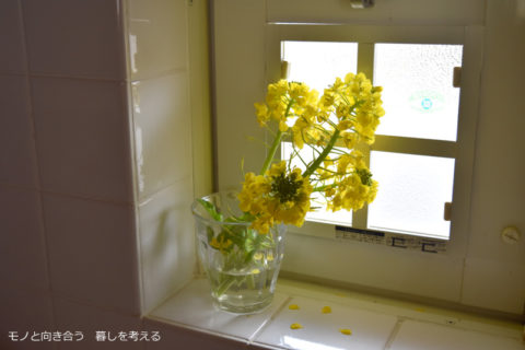 キッチンの窓辺に菜の花
