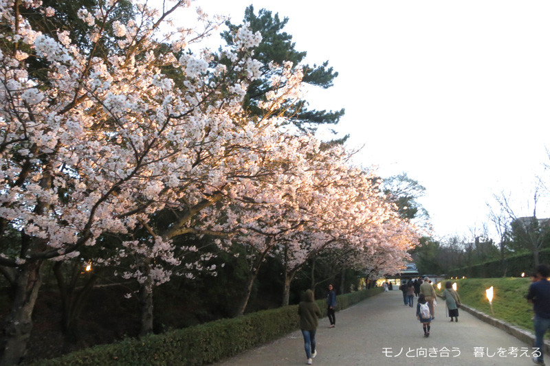 栗林公園夜桜ライトアップ2017年