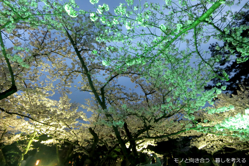 栗林公園夜桜ライトアップ2017年