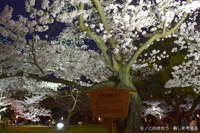 栗林公園夜桜ライトアップ2017年