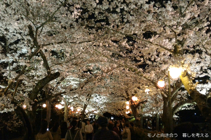 栗林公園夜桜ライトアップ2017年