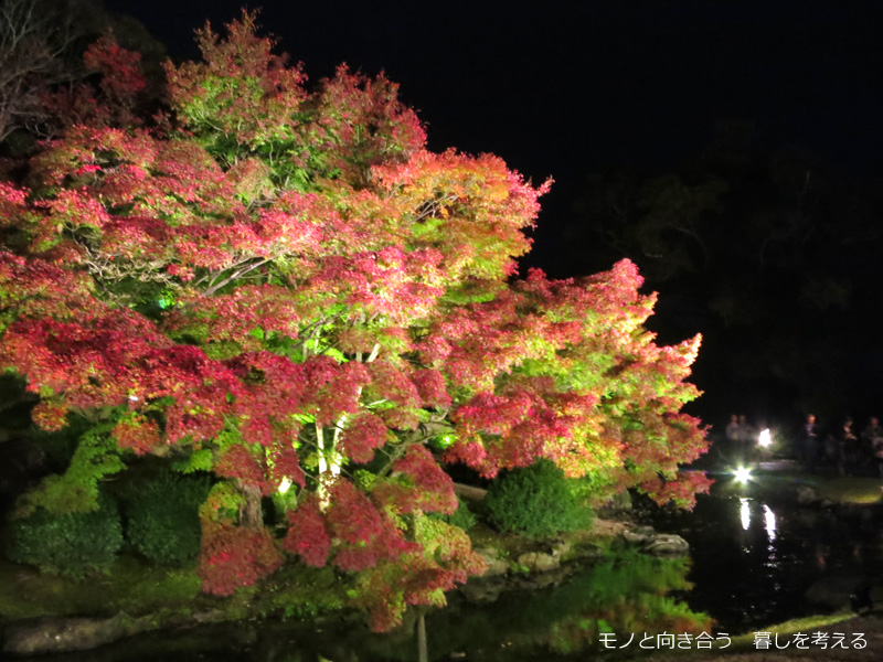 栗林公園、紅葉のライトアップ2016年