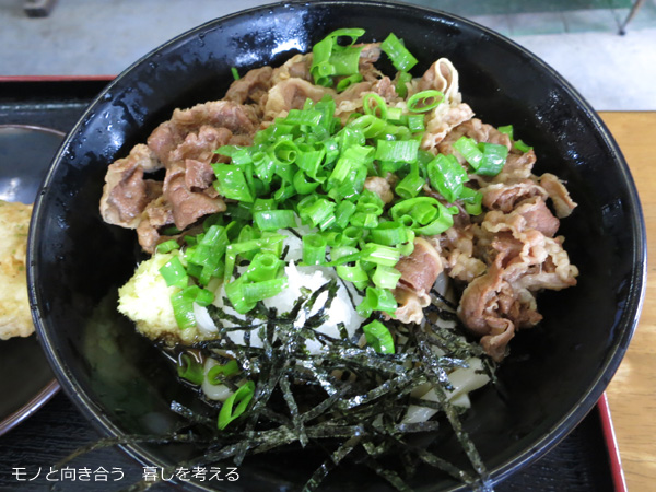 うどんの田、肉ぶっかけうどん