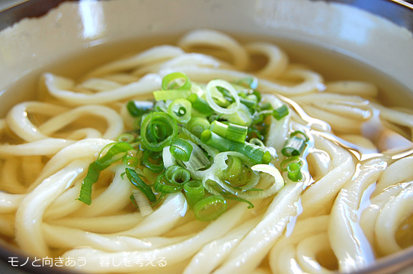 うどん山のかけｙどん